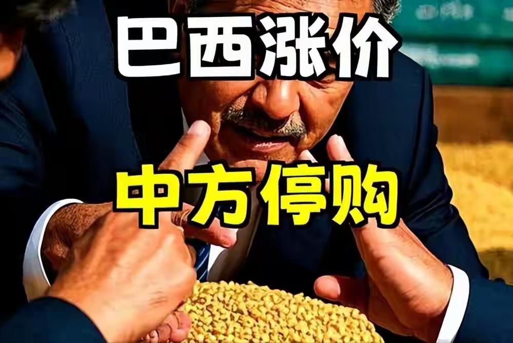 大豆定价权博弈：巴西涨价施压，中国凭何从容说“不”？
 
在2025年中美贸易博