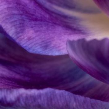 正能量如果你要做一件事，请不要炫耀，也不要宣扬，只管安安静静的去做。因为那是你自