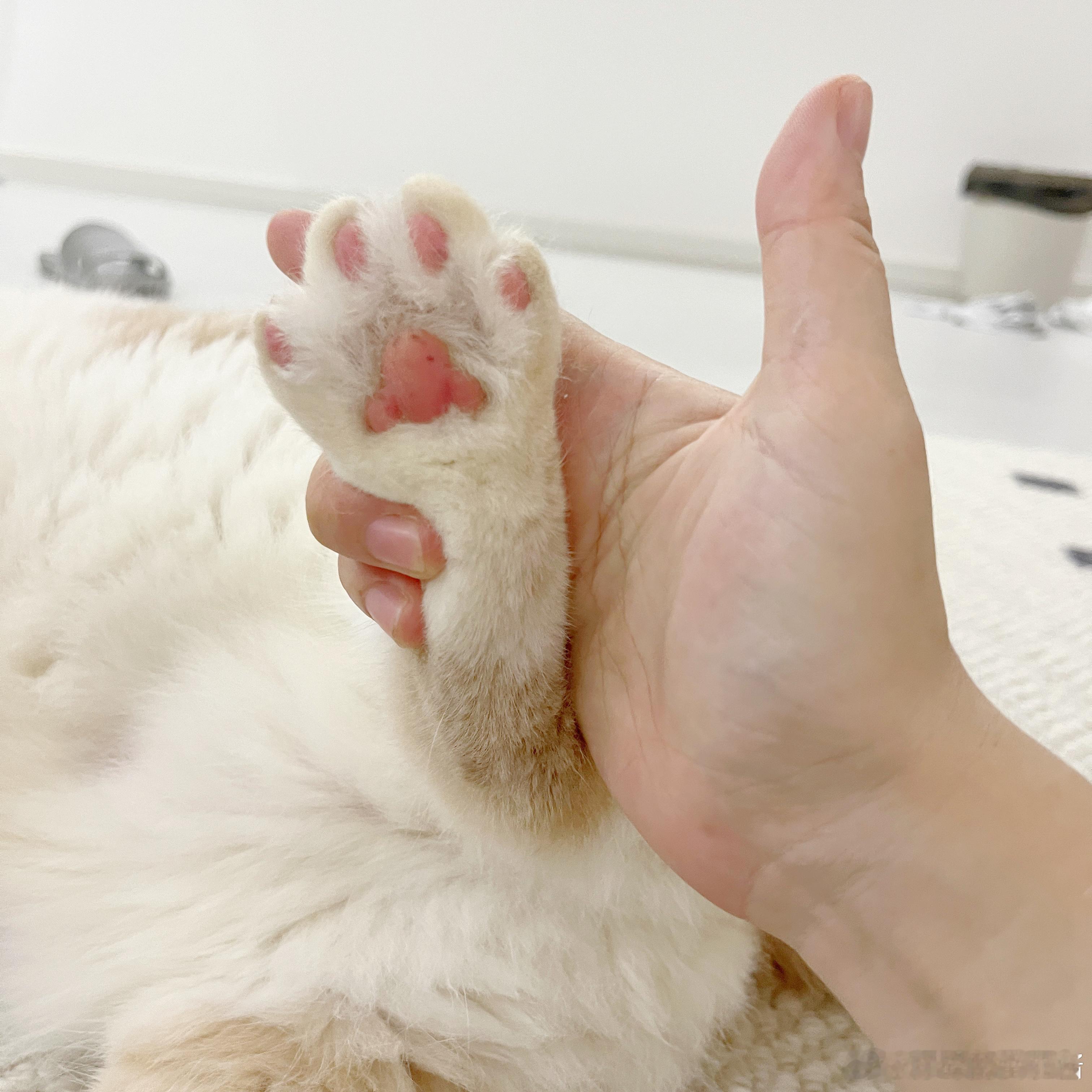 奇怪，有点香[苦涩]我不会是个变态吧…… ​​​