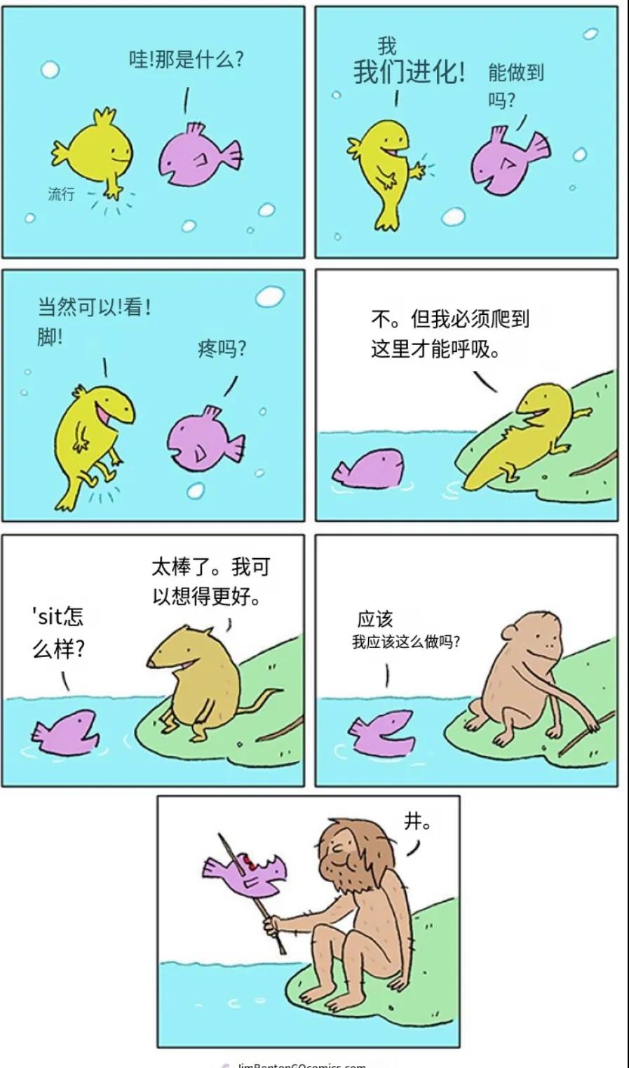进化后