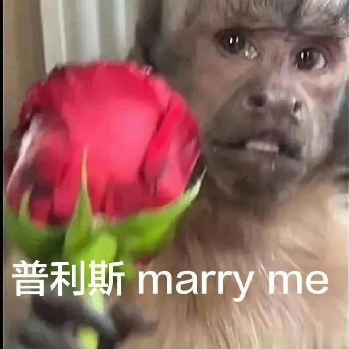 今日话题🎤，我看好多人对自己本命pan不满意，如果给你一次机会，你想要变成哪种