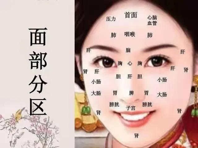 中医面诊看似神秘，其实简单易懂。今天，就让我带你一起揭开中医面诊的神秘面纱，让你
