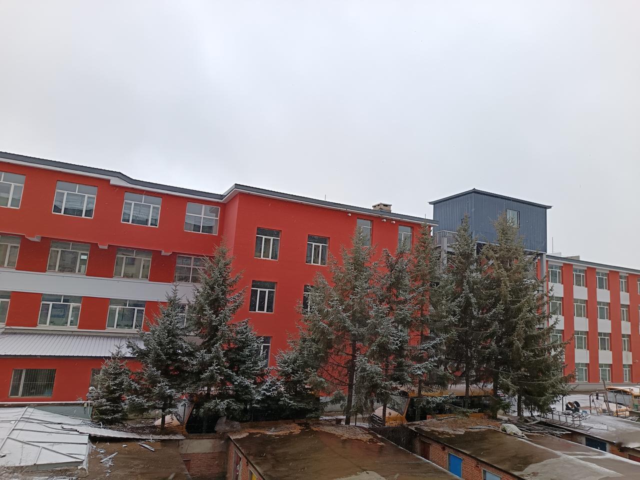 分享我这周有趣的事：这周最惊喜的事莫过于东北的初雪！一睁眼世界全白了，漫天飞雪下