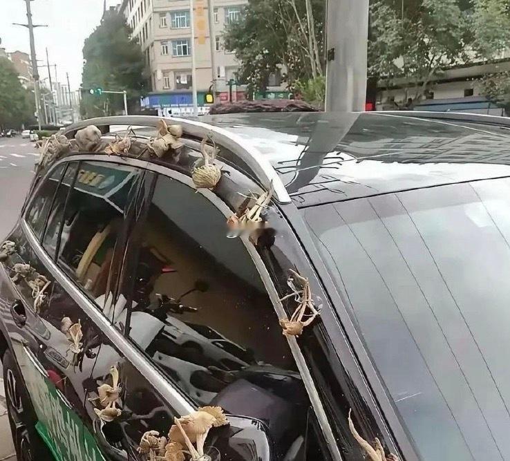 婚车上的一幕，不得不说，惊呆了啊。 