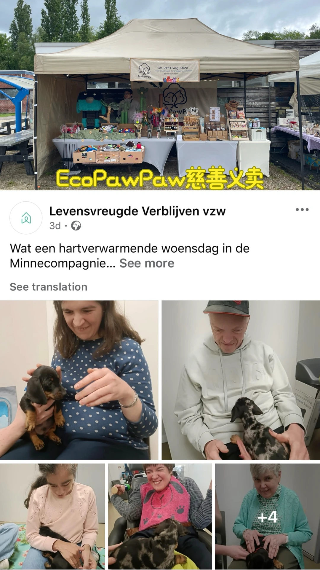 EcoPawPaw创业日常｜护理中心慈善义卖活动