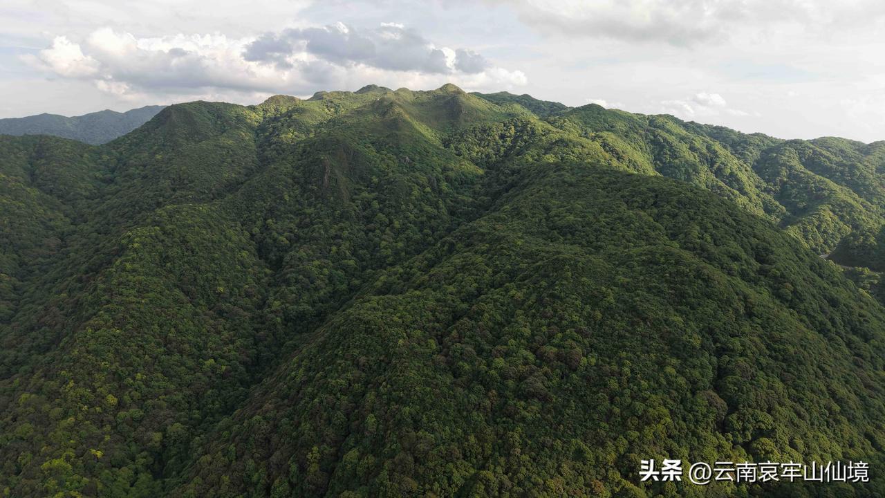 哀牢山到底是一座什么样的山它不是一座孤立的山峰，而是纵贯云南中部、绵延约500公