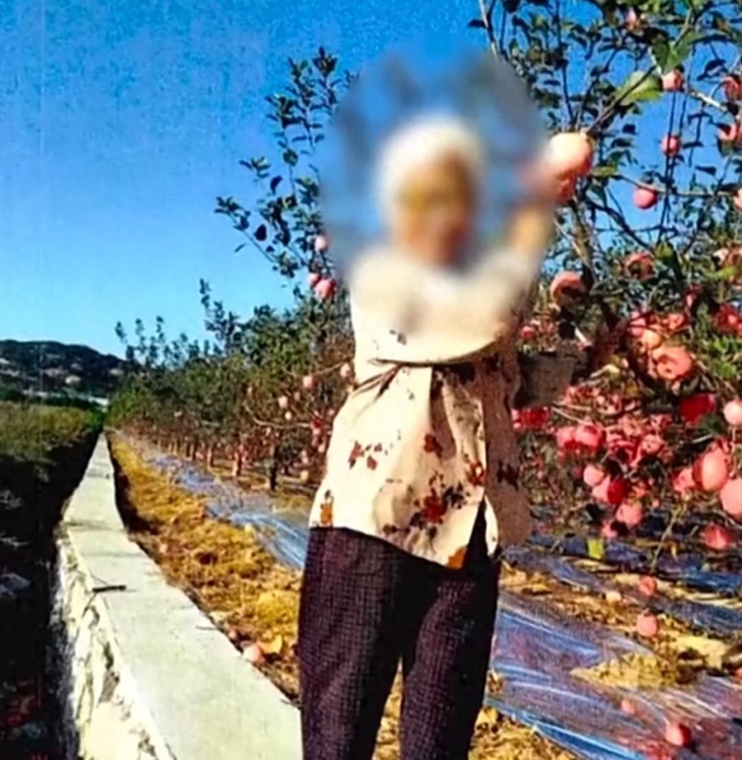 上海九旬老太将房产存款全部留给“干儿子”，死后骨灰却被撒荒山……
上海一位九旬老