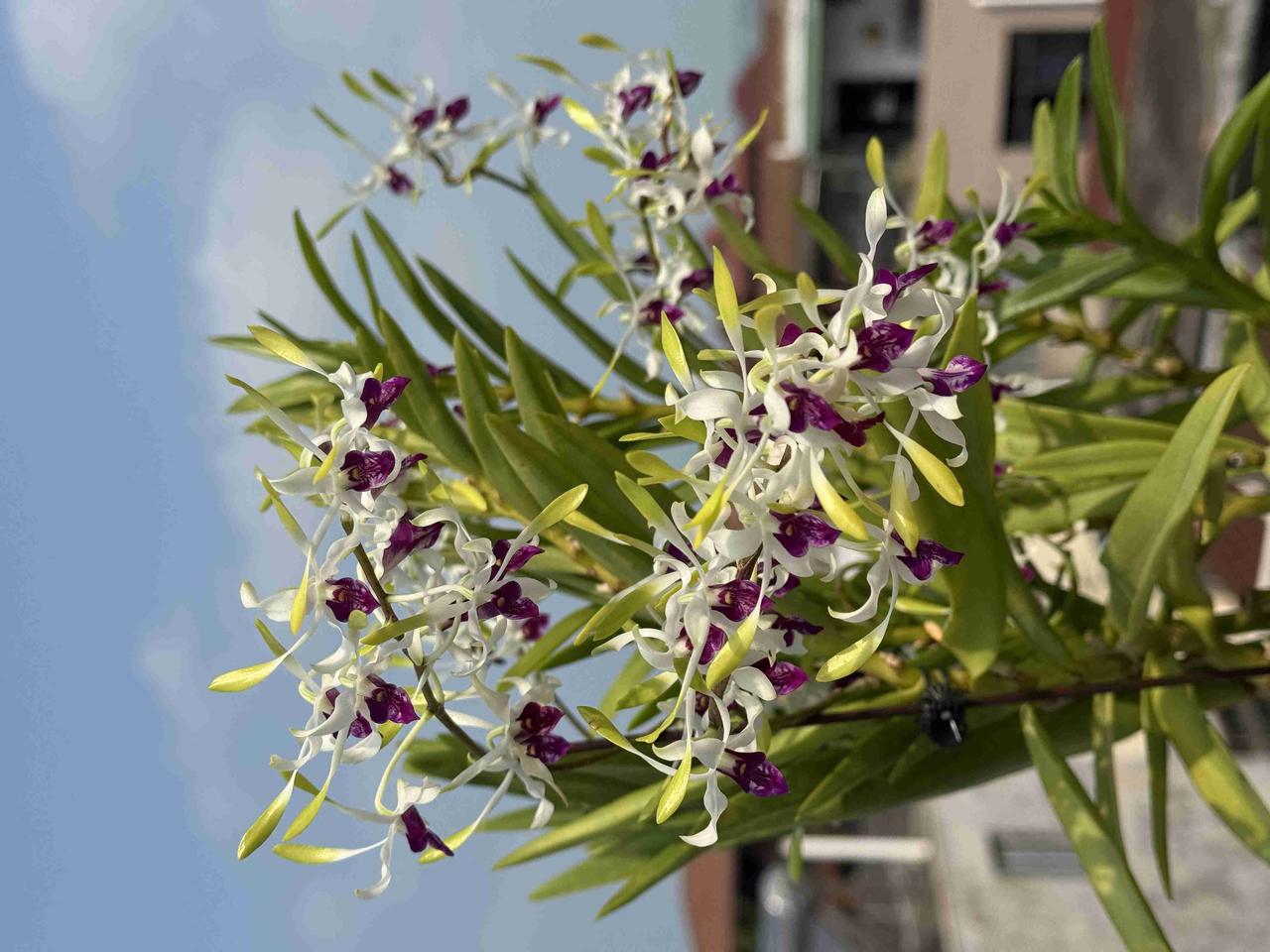我的今日状态：😁轻松愉快
我这里的天气：☀️晴天
今天心情轻松愉快，外面阳光正