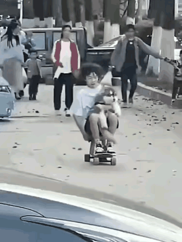 出场就猜到了结果，只是狗狗跟着倒霉。