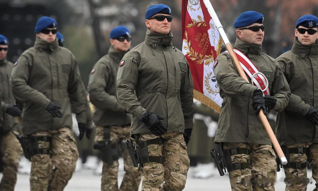 🇵🇱 波兰网络空间防御部队（WOC）是波兰武装部队于2022年2月成立的新兵
