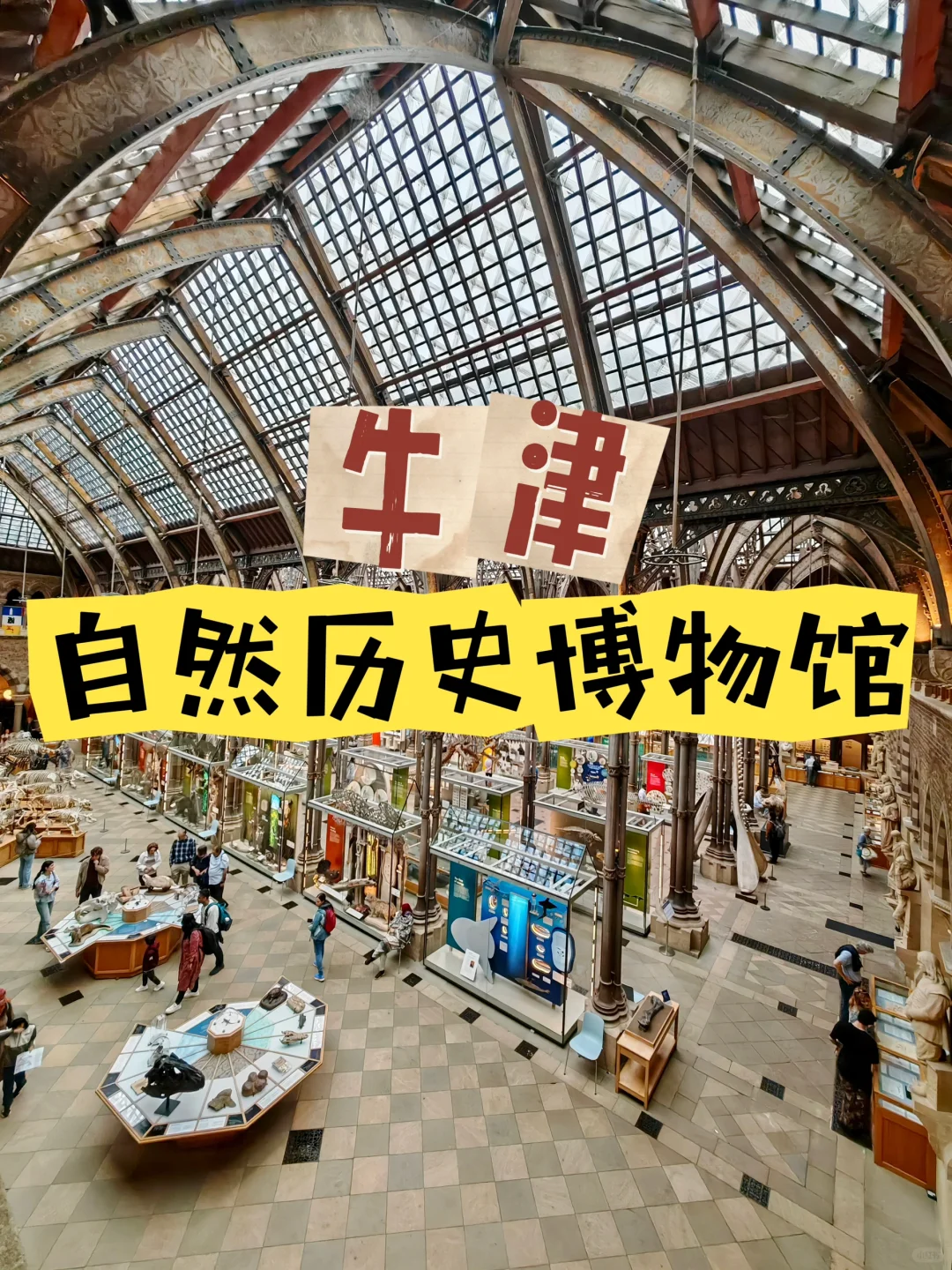 🇬🇧牛津自然史博物馆 | 亲子必去