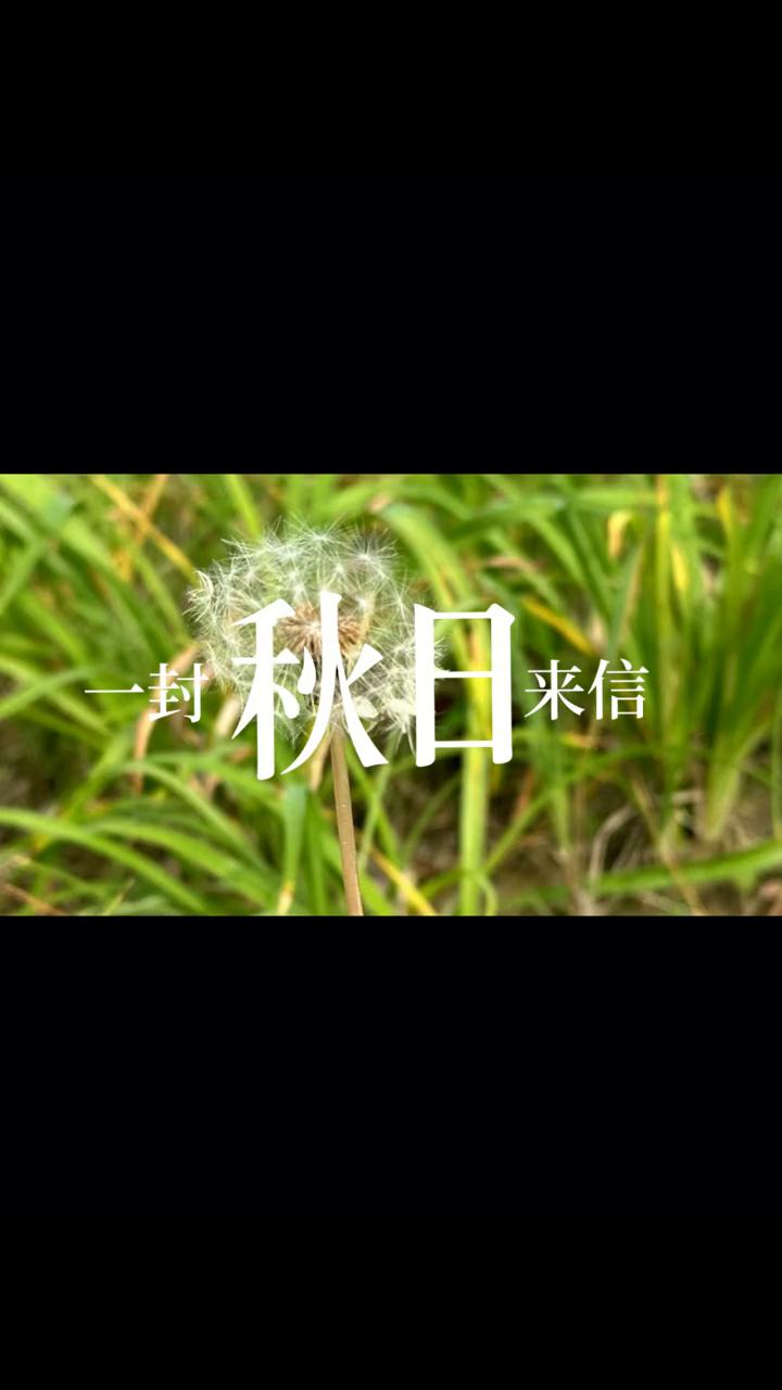 秋日来信。