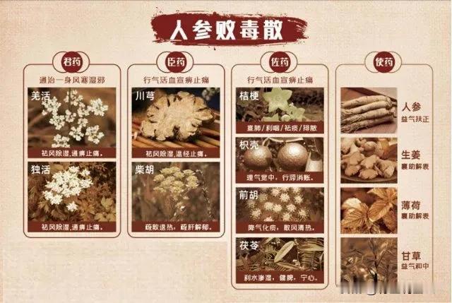 人参败毒散的三大适用人群，你知道吗？

人参败毒散是一种益气、散风寒湿邪的辛温发
