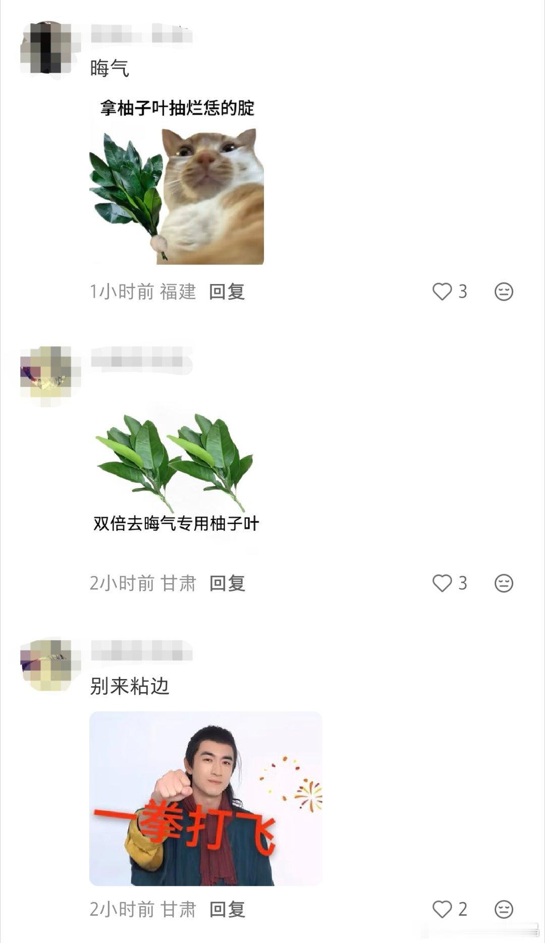 215不是林更新的救命稻草，大新不需要特意炒男男cp，大新对同事都挺好的，别把正