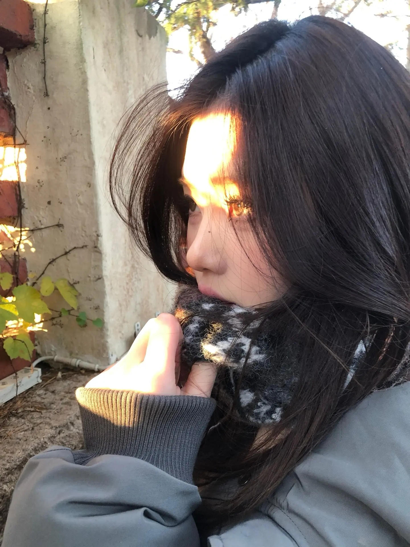 期待吧 这个冬天 幸福会像雪一样突然降临