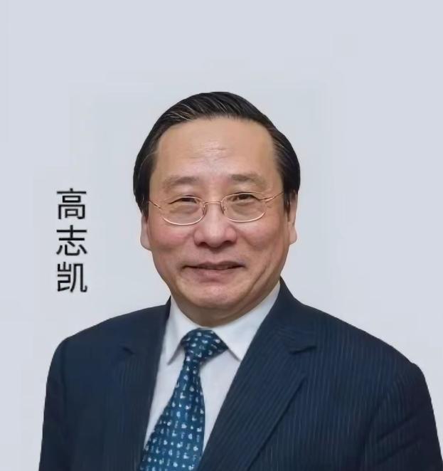 [微风]高志凯教授又在国际上杀疯了，日内瓦国际辩论赛上，美媒记者发表中国危险论！