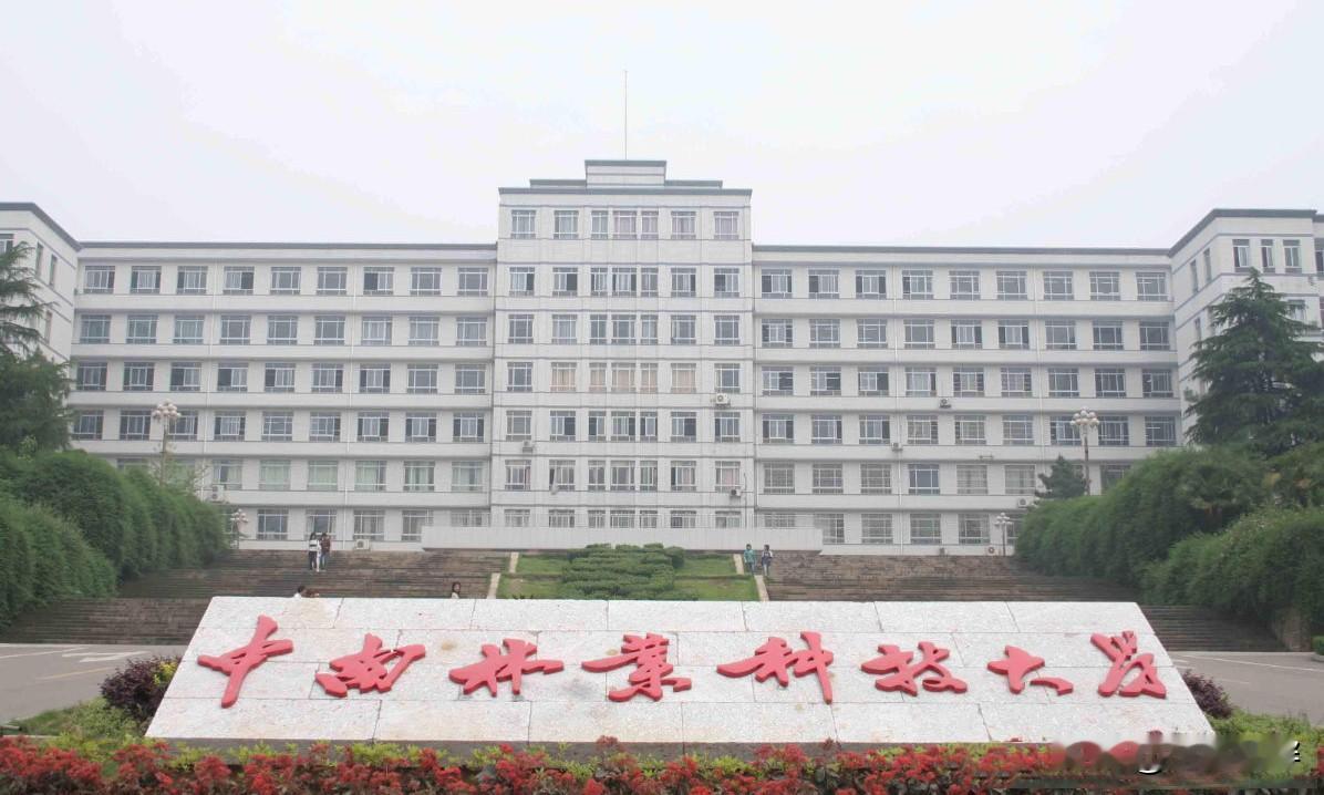 外甥高考533分，超出一本线52分，却成了亲戚们暗自笑话的对象。
外甥小学是在老