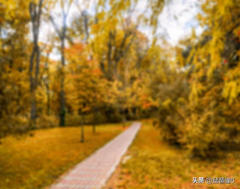 秋天的一件小事 
早秋的风偷从北边窗缝溜进来，凉丝丝蹭过我脸的时候，我才后知后觉
