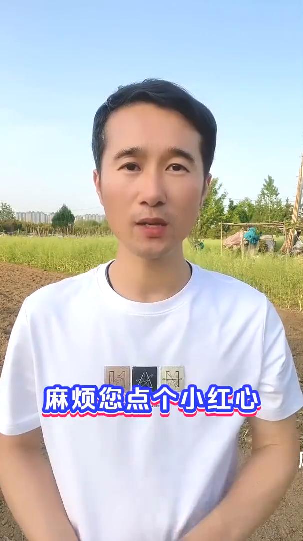 大白菜、小白菜防虫小妙招，叶面干净没有虫眼。
今天教大家一个预防大白菜、小白菜不