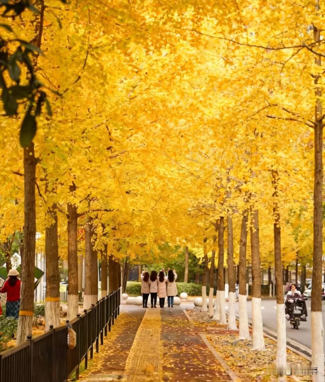 “太过分了，臭美”！
我在朋友圈评论[笑哭]
搭子们在疯狂更新，他们在武汉的街头