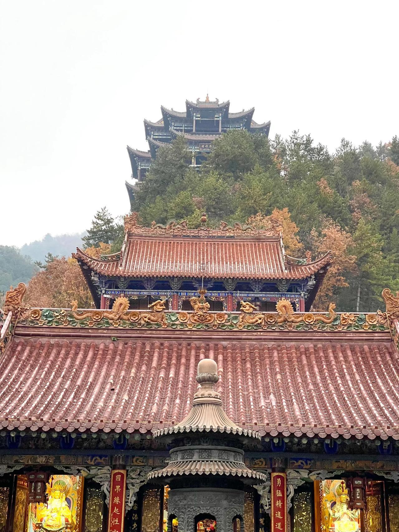【人间净土，秋景美如画】在天水，有一处宛如人间仙境的地方——净土寺。当你踏入这片