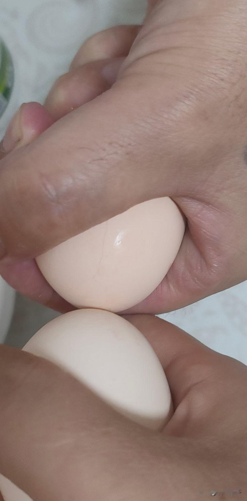 端午节你们都顶鸡蛋了吗
就是两个人一人拿着一个鸡蛋用一端用力顶
从小时候端午节吃