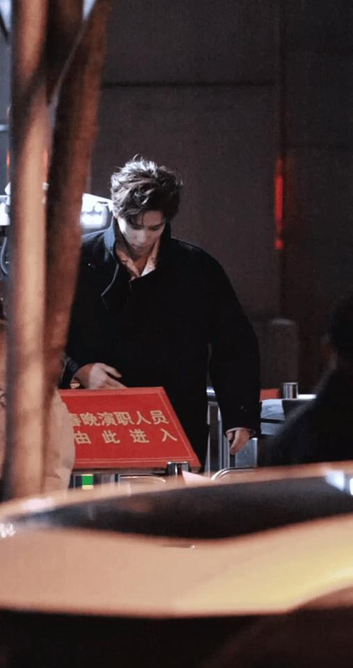 王安宇 经济上行的明媚 王安宇春晚状态拉满！演绎《快乐小马》活力满格，台下依旧笑