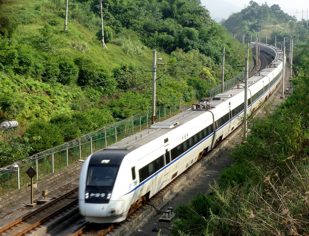 过去这二十年随着铁路的提速以及高速铁路的大量建成，被列车撞击的鸟也越来越多，过去