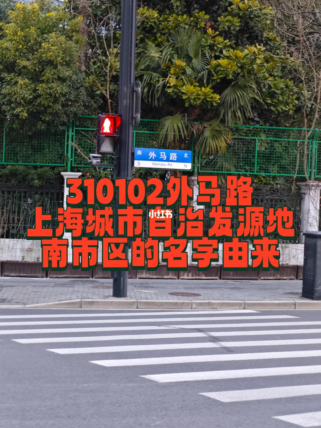 被叫做下只角的南市区，其实是华人城市之光