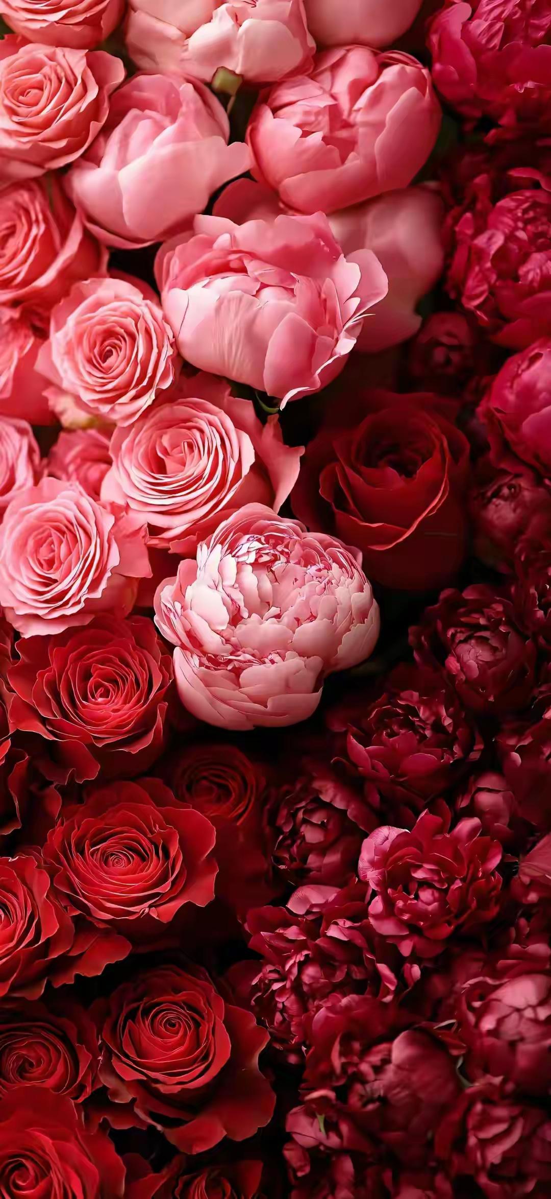 繁花织锦，馥郁芬芳，满目皆是温柔与浪漫。愿日子如这般热烈盛放，岁岁皆欢喜，年年皆