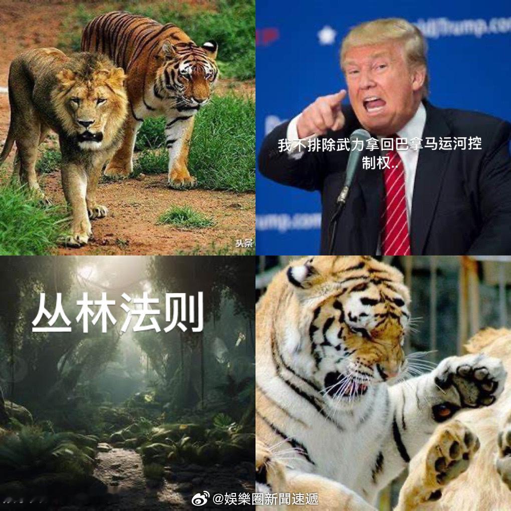 美国 帶头重走恃強凌弱..弱肉強食..…丛林法则之路？！世界已沒有法律可言？！ 