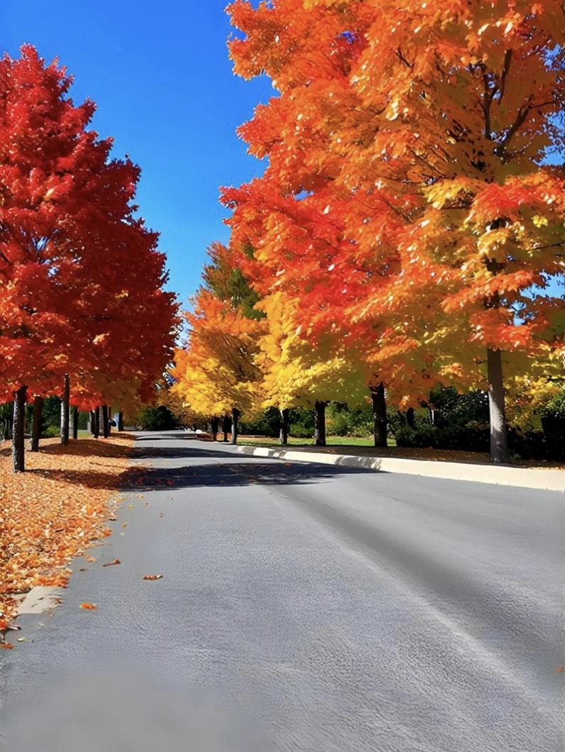 深秋向晚，霜寒露冷，岁月匆匆又是一季秋将去，人生漫漫又是一程山水。

时光仿佛弹