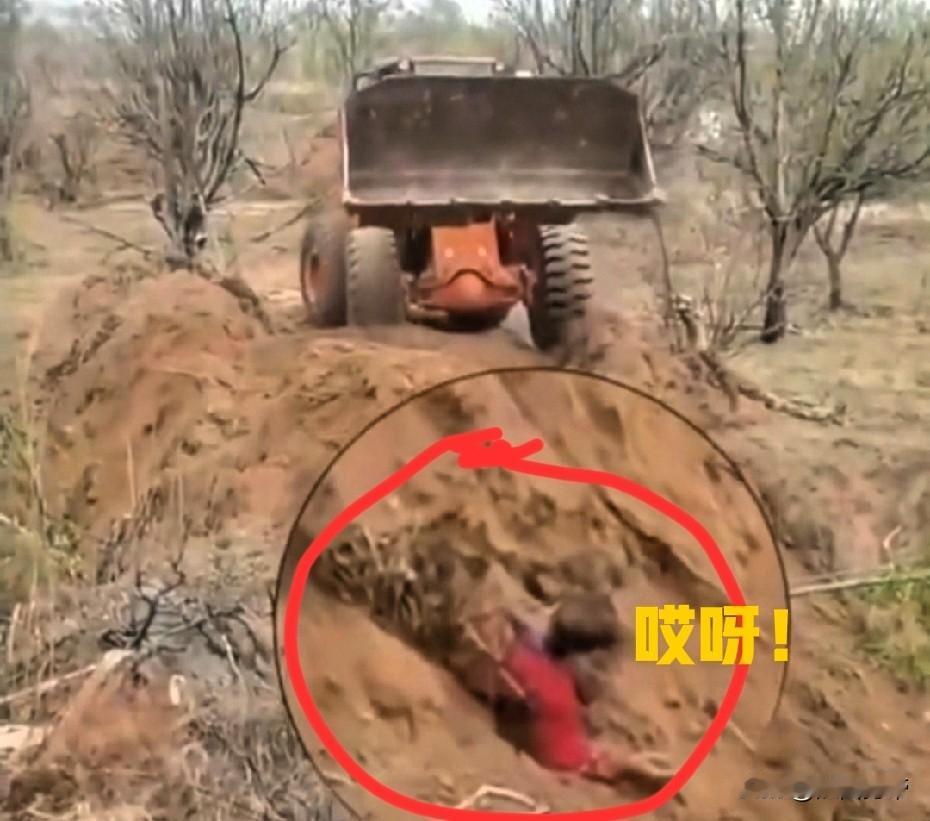 “我的天！竟有人敢明目张胆的，开铲车埋活人！”近日，网传在山西代县水峪村，原村支