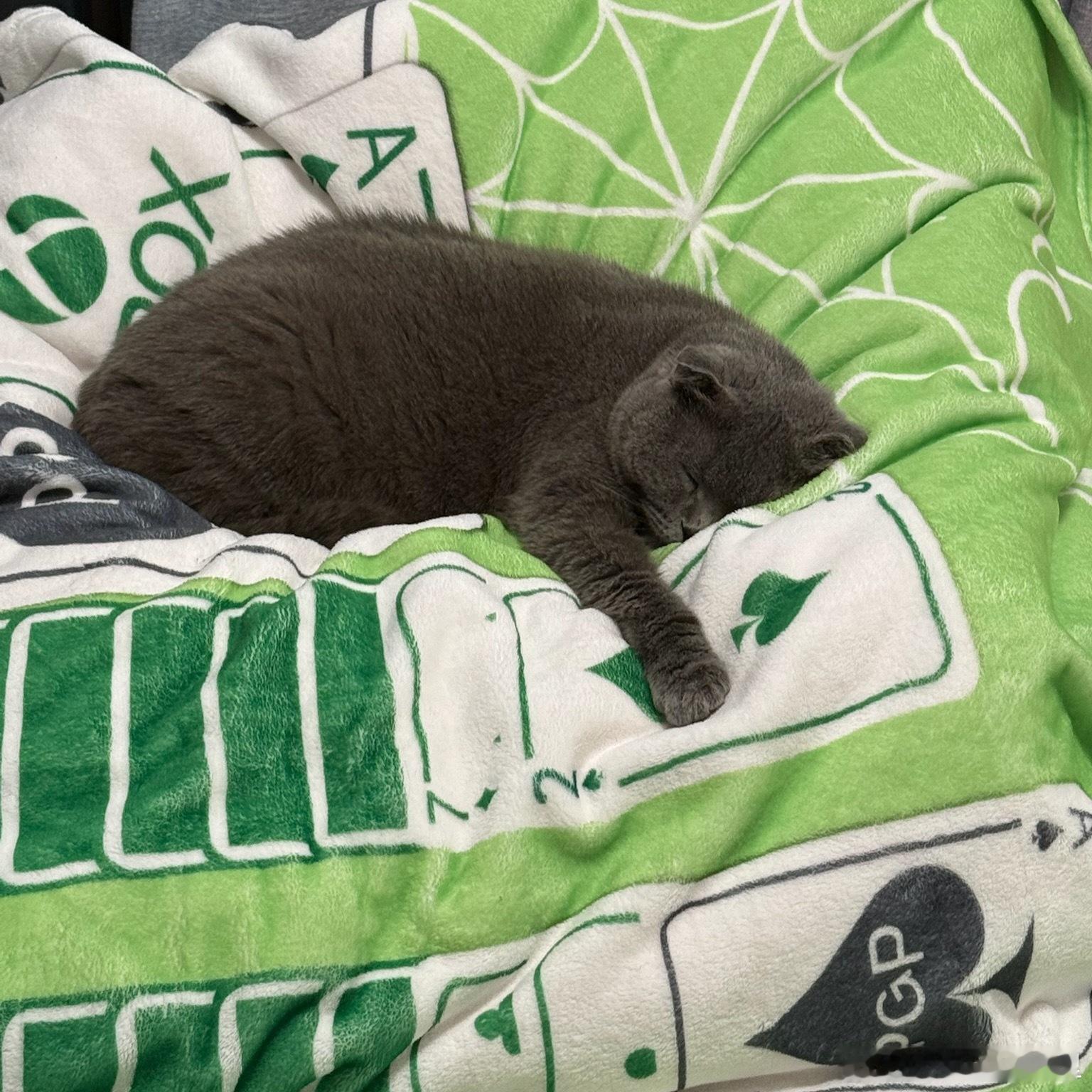 就这样睡睡睡成小