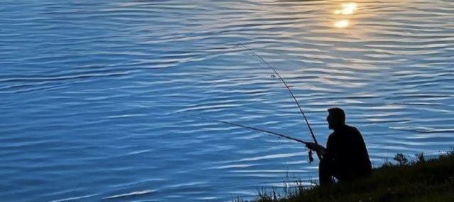 对门那大爷真挺“野”的。平时看着特老实，结果家里老有打扮时髦的阿姨进出。邻居们闲