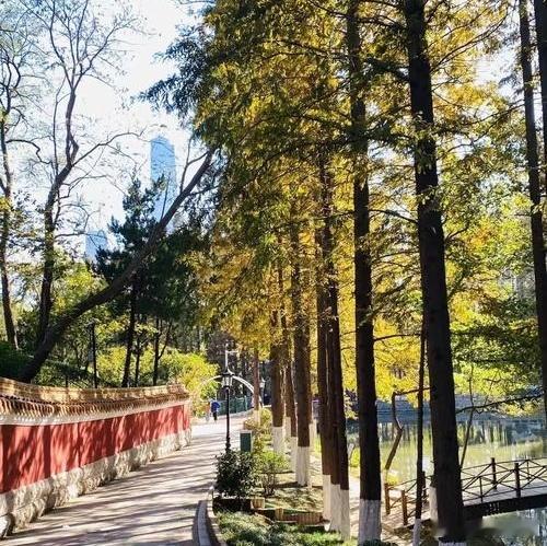 做人办事均该落实在行为里……     