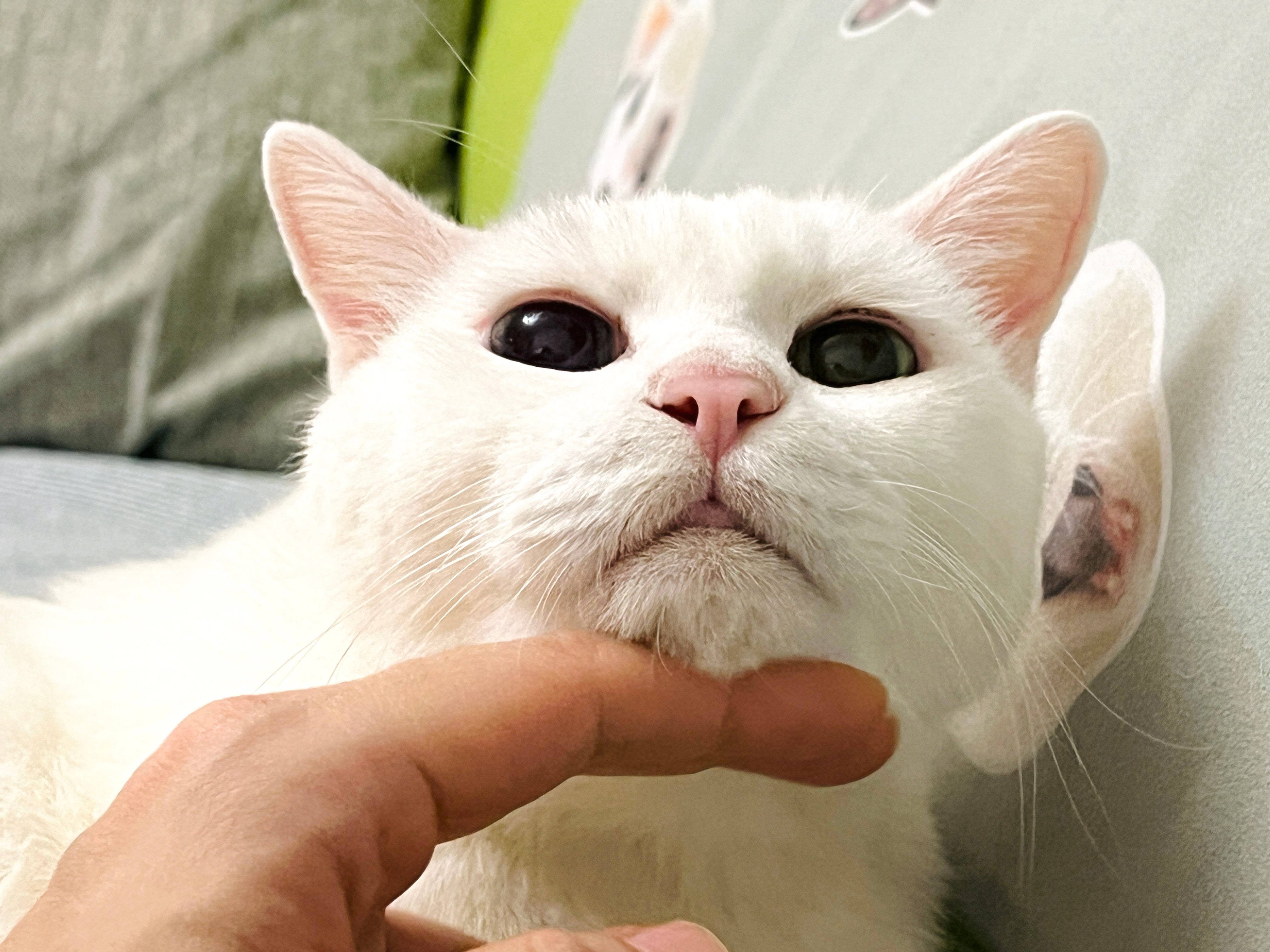 既然滑到這裡，請來跟老吉來招呼吧～👋🏻👋🏻 ​​​