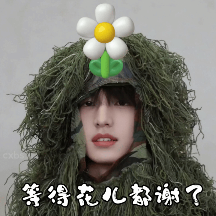 物料呢！自拍呢！我狗呢！🌱 