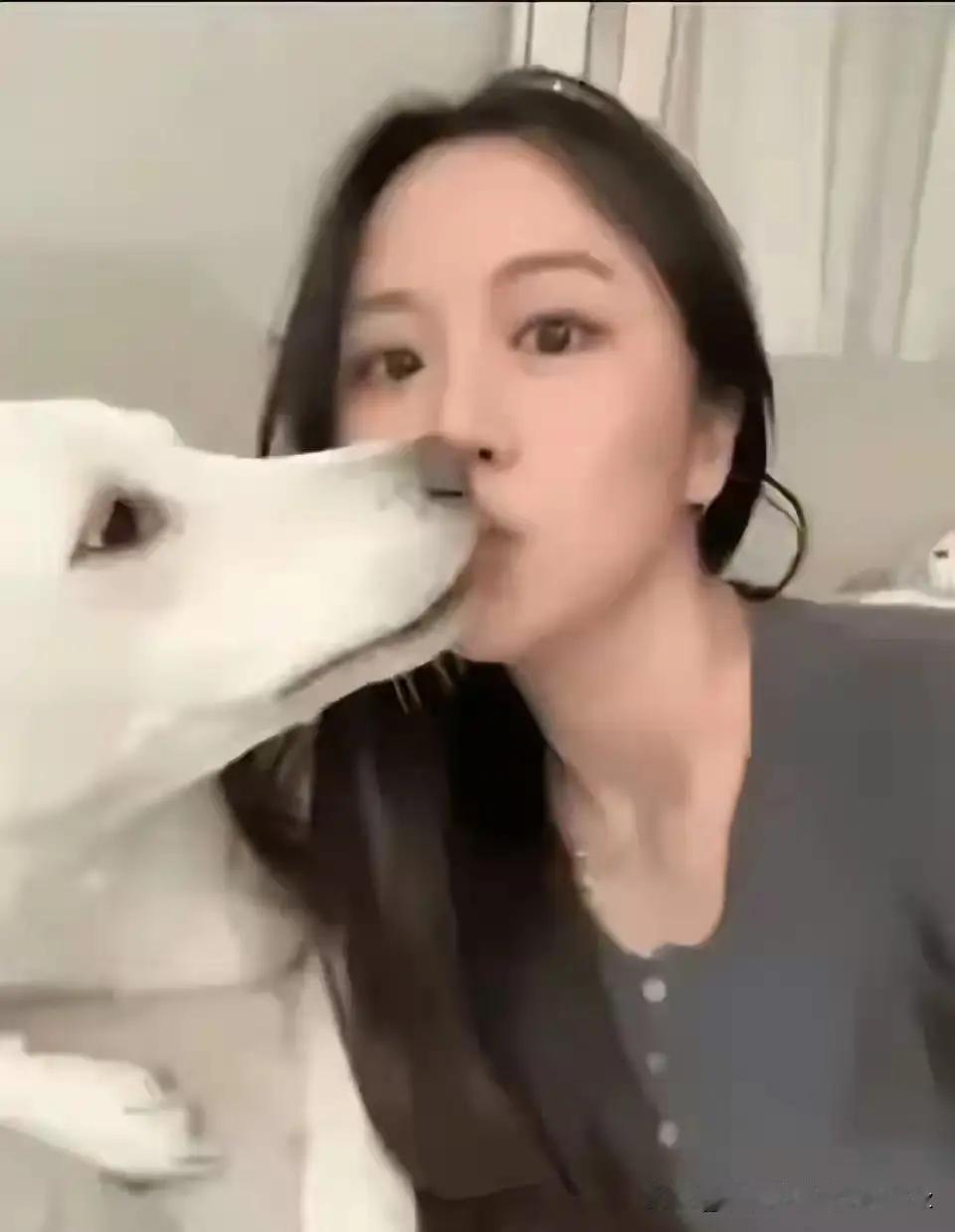 刚刚看到一篇文章《牵着狗的女人最丑》！

看到这样的文章那些穿着考究，打扮精致的