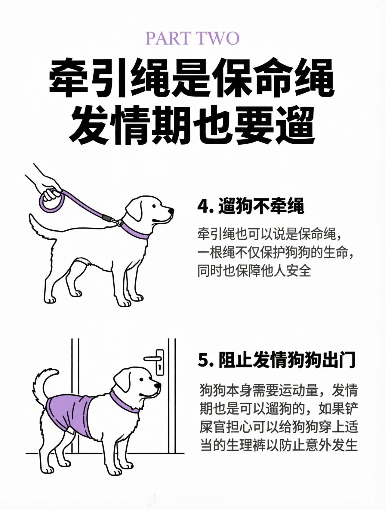 这次杭州把老规定重新严格执行，能看出城市治理是真的想解决公共空间里的养犬矛盾。但
