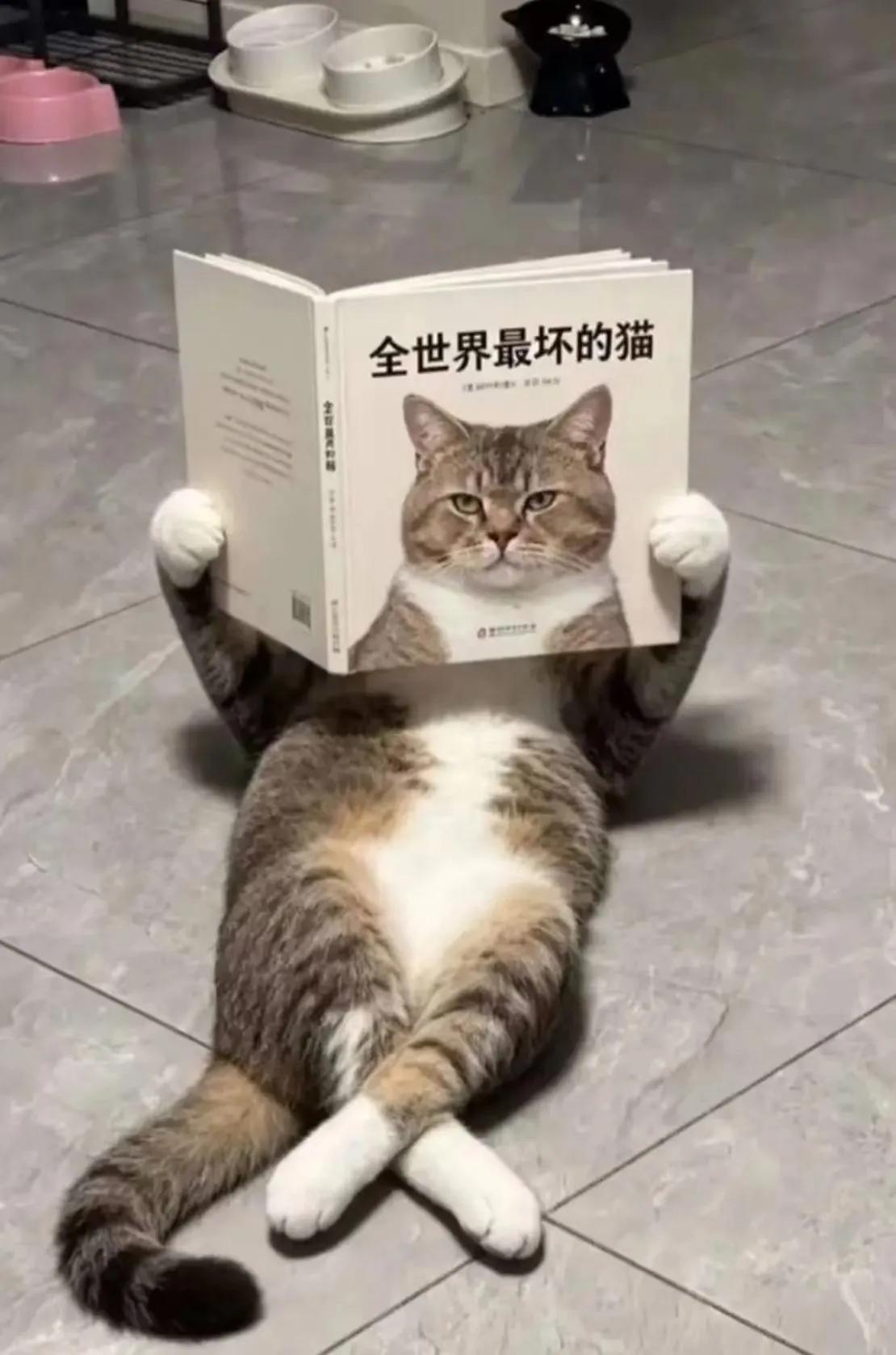 哈哈哈哈，原来就是你啊[捂脸]