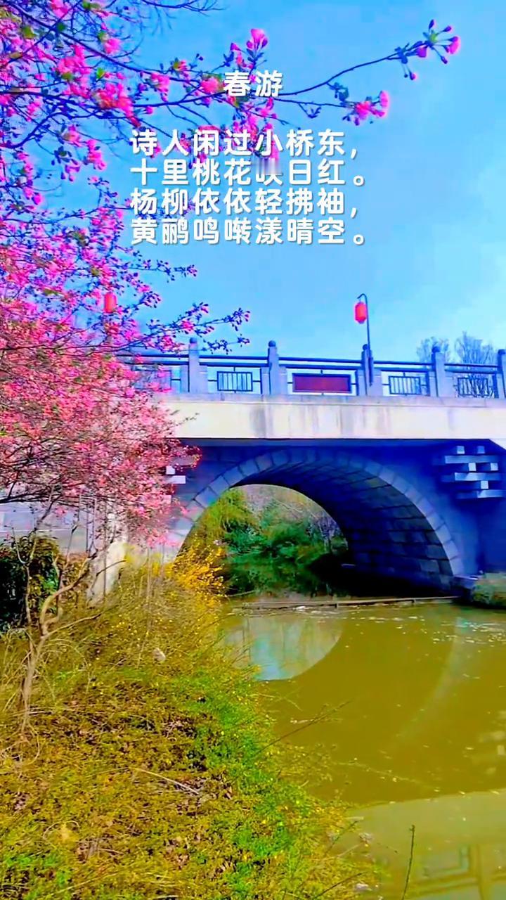 春游。
诗人闲过小桥东，十里桃花映日红。
杨柳依依轻拂袖，黄鹂鸣啭漾晴空。