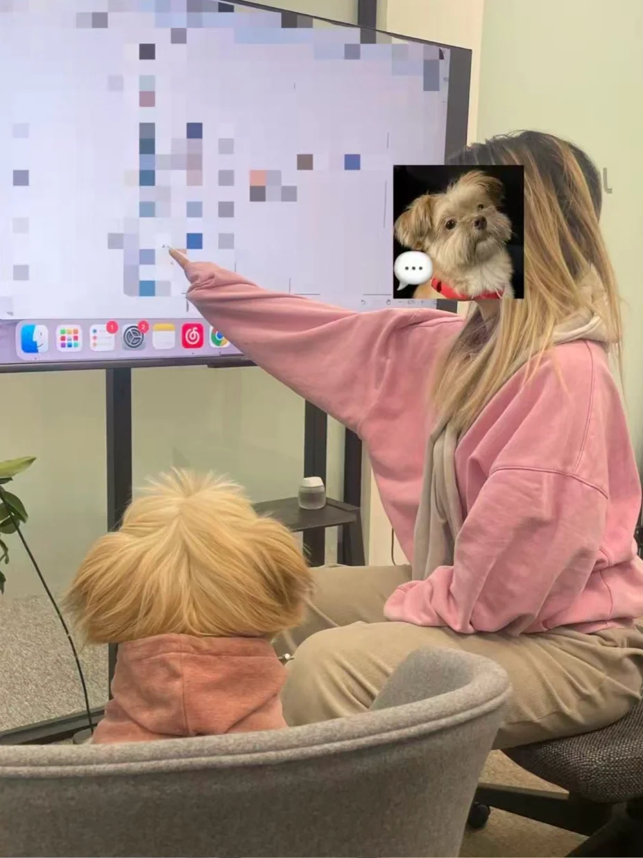 犬子演我上班状态🥲