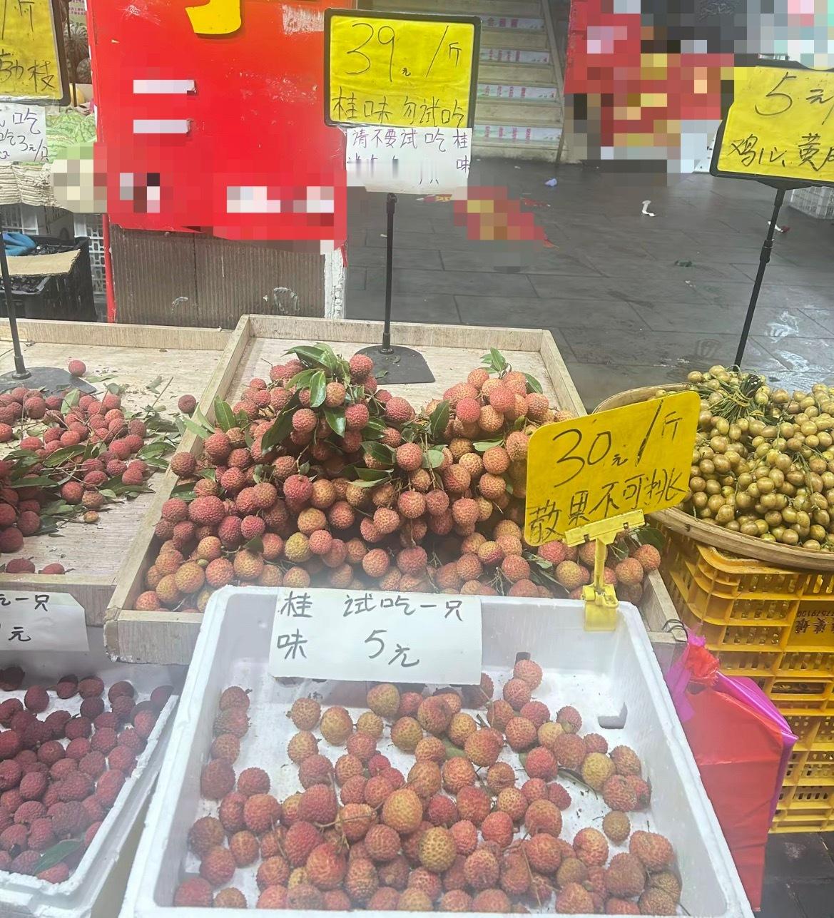 【玉林一店铺桂味荔枝试吃一只5块钱】近日，网友爆料称：玉林市某店铺的桂味荔枝39