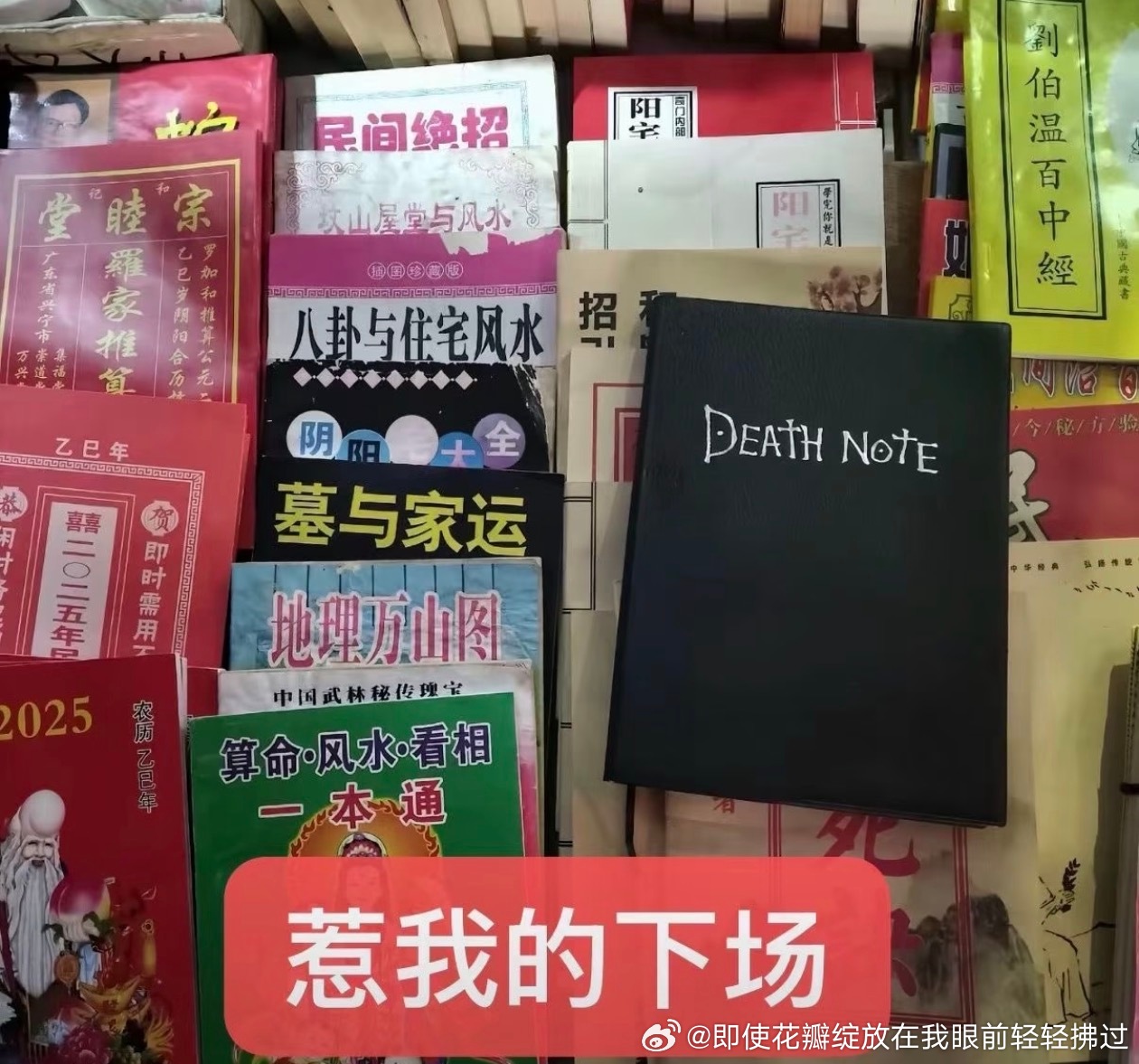 分享图片 