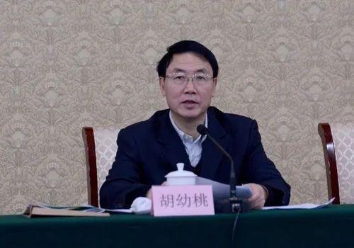 胡幼桃一审获刑十三年：受贿4364万，财政审批权为何能被定价28年？

2026