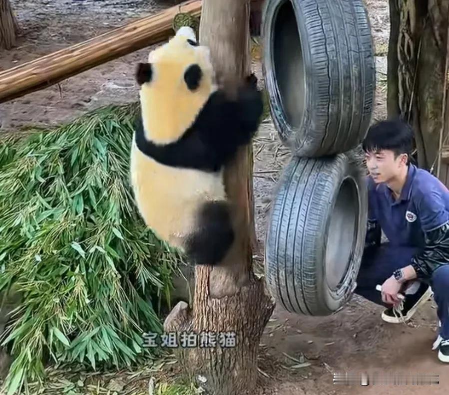 [大笑]有一种渴叫“奶爸觉得你渴”，天气炎热，苗苗奶爸怕小月亮不喝水口渴了，端着