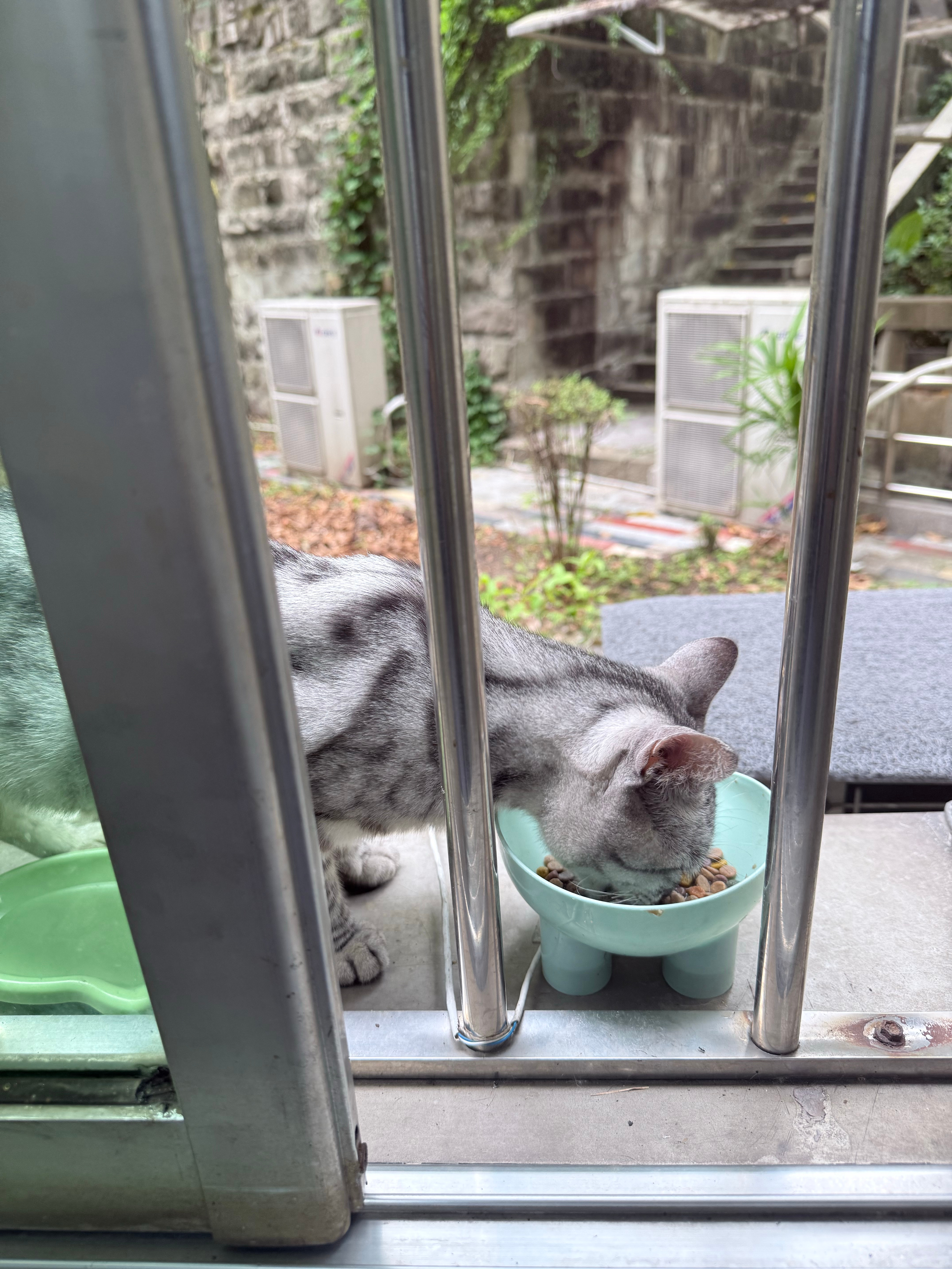 我今天转正了 给牌子猫做了猫条拌五彩小野味 给自己买了烤鸭西瓜美乐蒂