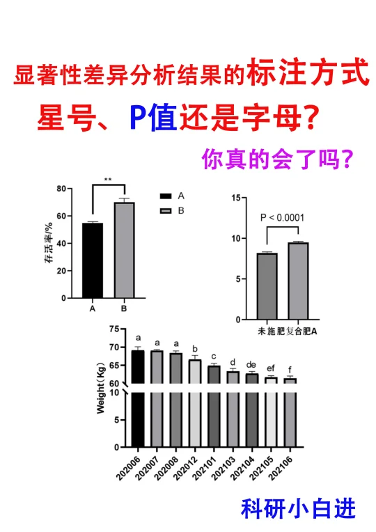 🔥显著性差异分析结果的标注方式，你懂了吗