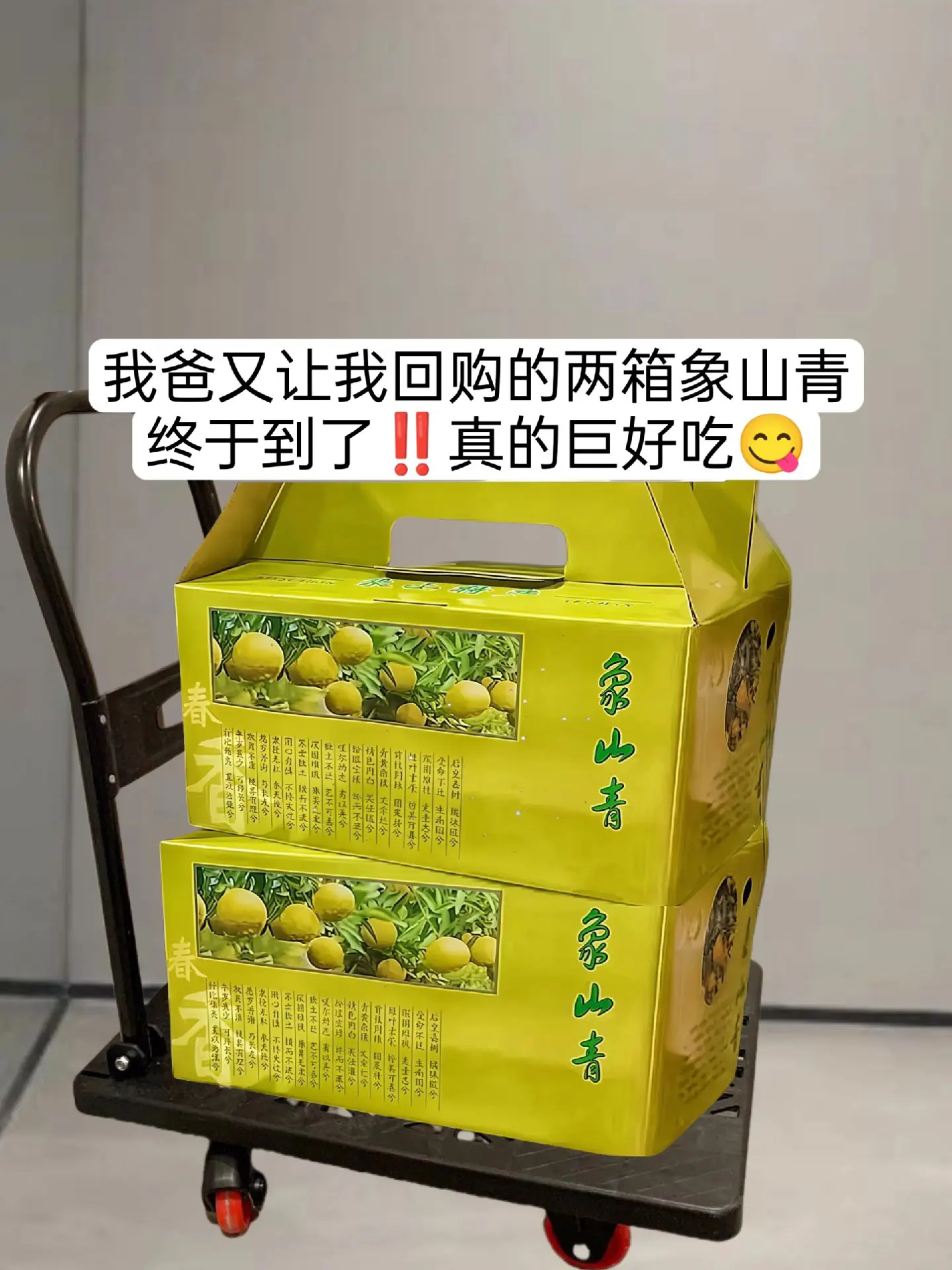 宝子们！我挖到了一款宝藏水果啦！快来尝尝鲜哟！就是这个象山青柑橘真的太...